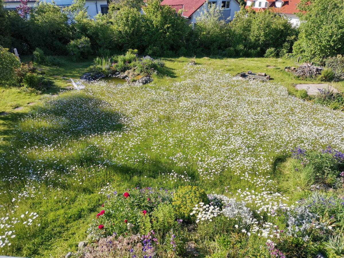 Moderne Ferienwohnung Gartenblick Amtzell Buitenkant foto