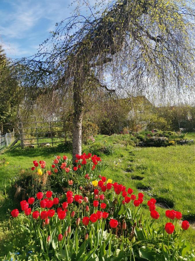 Moderne Ferienwohnung Gartenblick Amtzell Buitenkant foto